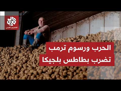 أزمة فائض غير مسبوقة تضرب زراعة البطاطس في بلجيكا بسبب رسوم ترمب وإغلاق هرمز جراء الحرب