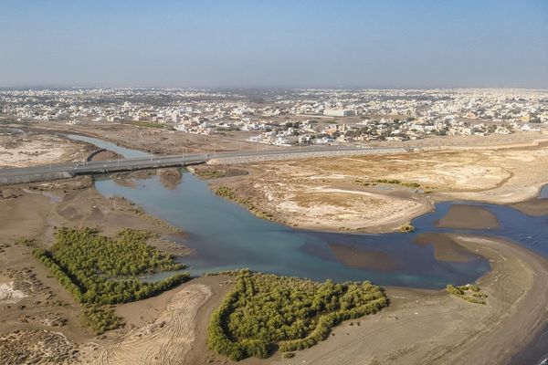 خور القرم بالمصنعة يعزز التوازن البيئي ويحظى بجهود تأهيل واستزراع