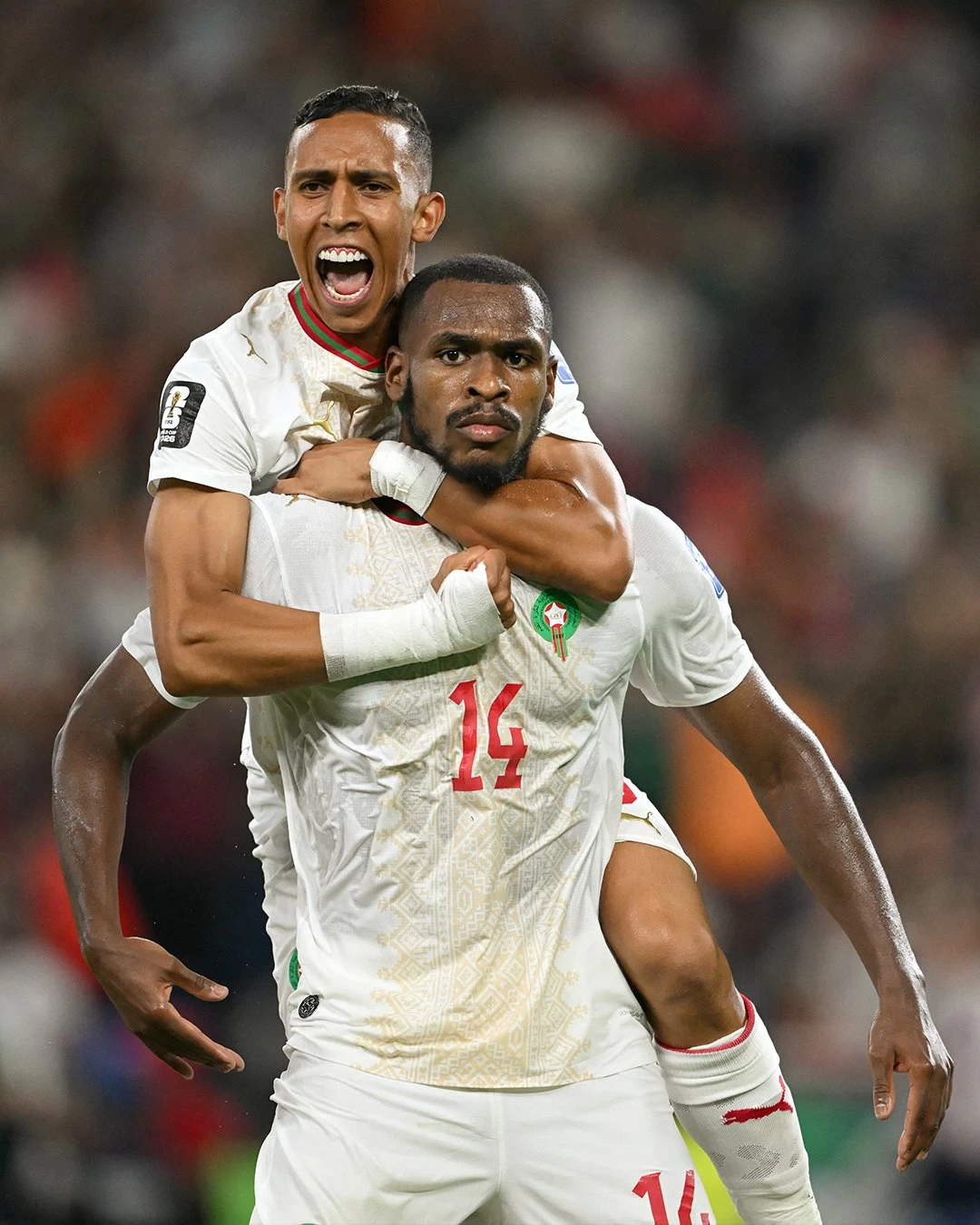«ديوب» يكشف سر العودة أمام هولندا