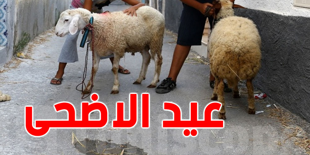 عيد الأضحى 2026: أكثر من 560 تدخلاً رقابياً في تونس