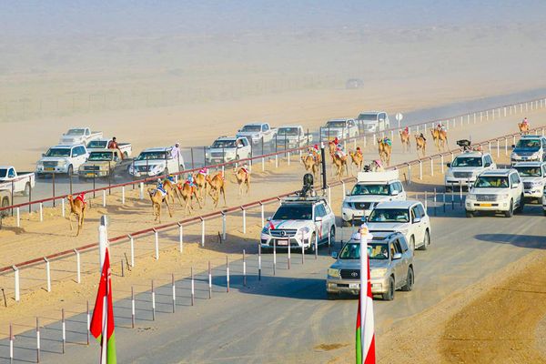 ختام مهرجان الأبيض الأهلي السنوي الرابع عشر لسباقات الهجن بولاية سناو