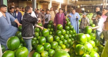 جبال البطيخ تزين سوق الجملة ببنها.. مزادات يوميا والطبلة والرق شعار تجميع التجار.. الحبة من 5 لـ75 جنيها حسب الحجم والنوع.. وصنف "الجيزة" يتألق فى الصدارة.. والشباب: الكل بياكل عيش فى الموسم