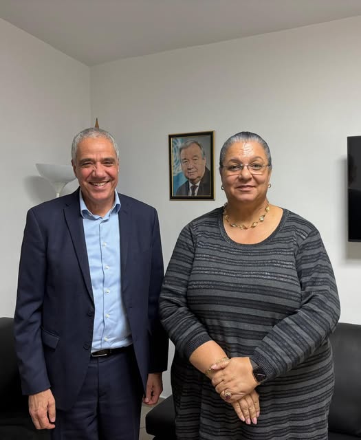الممثلة الخاصة للأمم المتحدة تلتقي السفير الألماني لمناقشة التطورات السياسية في ليبيا