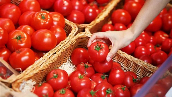 شعبة الخضروات تزف أنباء سارة بشأن أسعار الطماطم والمانجو (فيديو)