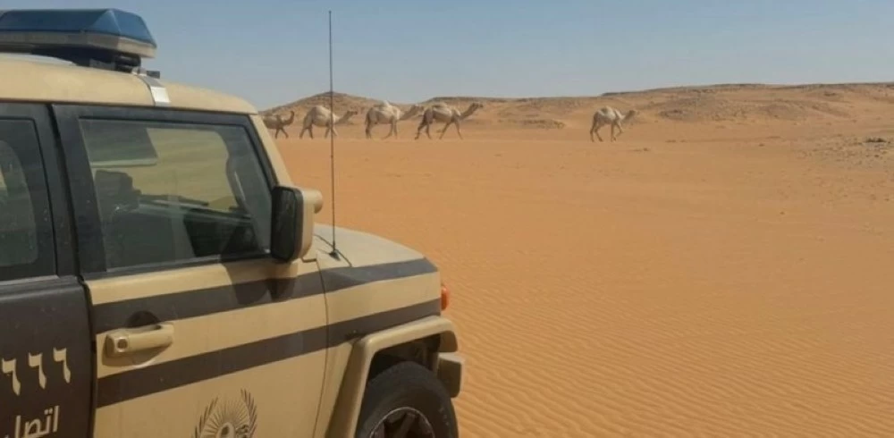 ضبط مخالف للرعي في محمية الإمام عبدالعزيز بن محمد الملكية