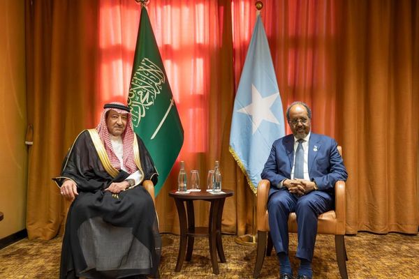 رئيس جمهورية الصومال يلتقي نائب وزير الخارجية