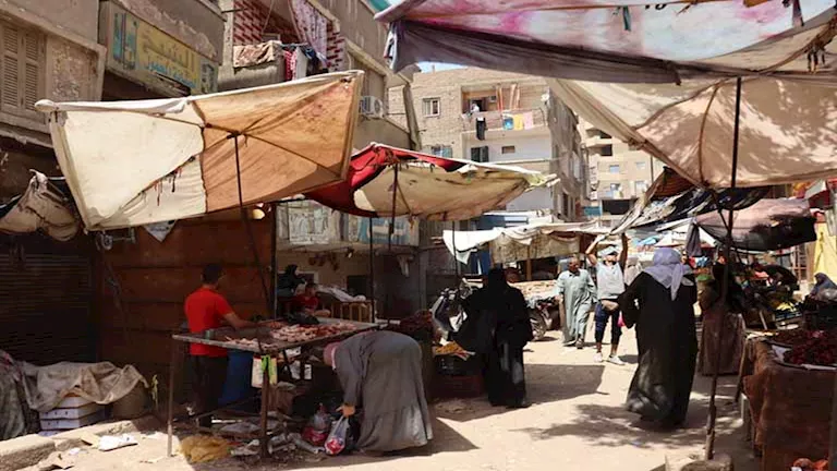 بالصور- محافظ القليوبية يطلق حملة موسعة لإزالة إشغالات سوق بهتيم