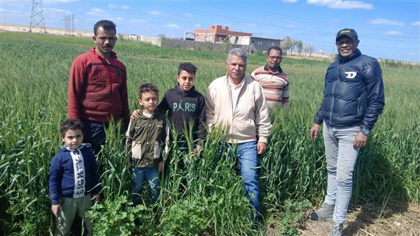 زراعة الإسماعيلية: جهود ميدانية لمتابعة حصاد محصول البنجر والزراعات بالقنطرة شرق