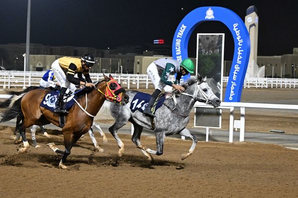 7 أشواط في السباق التاسع عشر لسباقات الخيل بمضمار الوطية