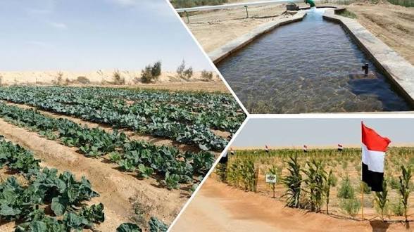بمناسبه أعياد تحرير سيناء..وزير الزراعة يستعرض حصاد عام من “جهود التنمية الزراعية” في سيناء