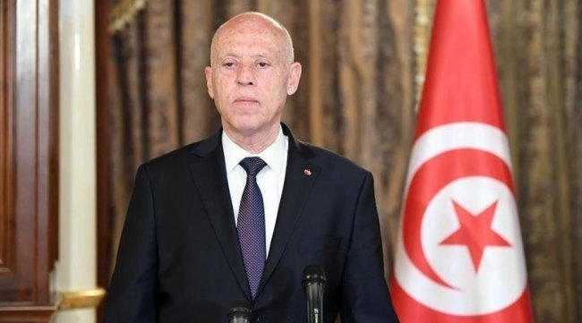 باحثة أمريكية : قيس سعيّد لم يُعد الثروات المنهوبة ولم يحقق التنمية الموعودة