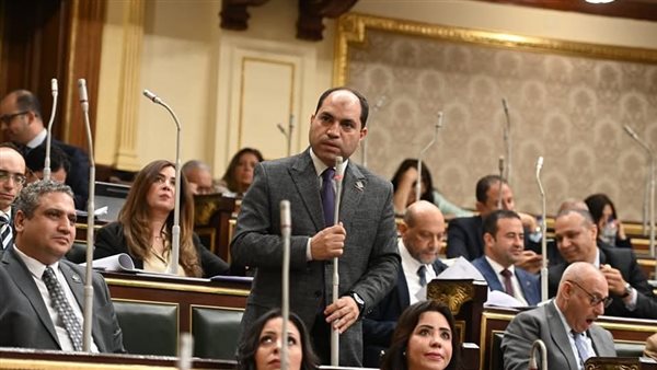 النائب عمرو درويش: قانون المحليات الجديد يتضمن أدوات رقابية قوية تشمل استجواب المحافظين وإسقاط الثقة
