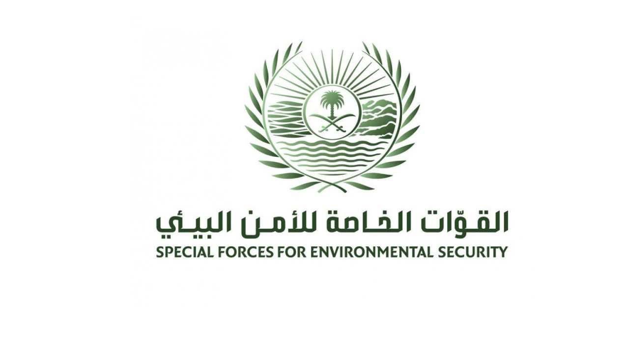 «الأمن البيئي» يضبط مخالفًا قطع الأشجار دون ترخيص في محمية الأمير محمد بن سلمان الملكية