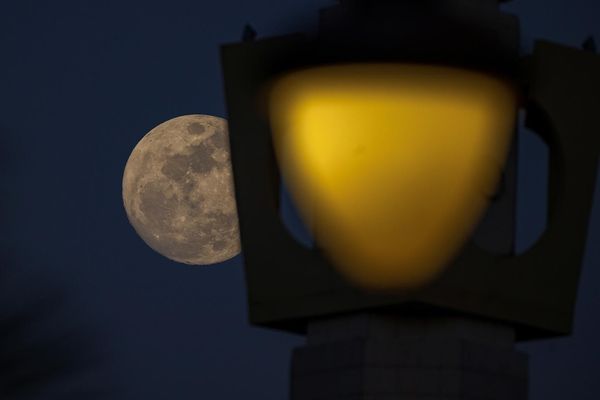 السماء تشهد الليلة اكتمال قمر شهر ذي القعدة