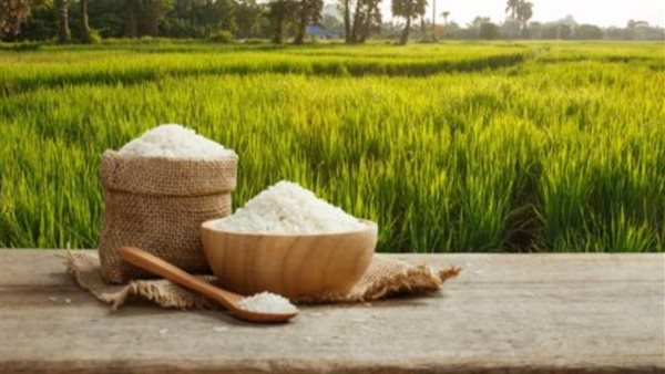 سعر الأرز في الأسواق اليوم الجمعة