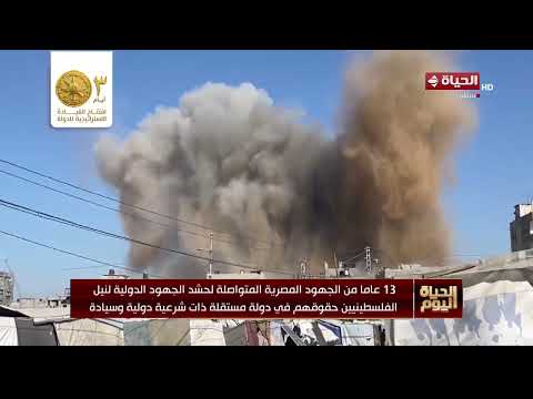 13 عاما من الجهود المصرية المتواصلة لحشد الجهود الدولية لنيل الفلسطينيين حقوقهم في دولة مستقلة