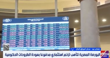 خبير: الطروحات الحكومية تعزز أداء البورصة المصرية وتجذب السيولة