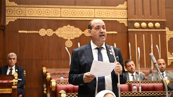 النائب أحمد سيد أحمد يقترح رفع الحد الأقصى لغرامات الممارسات الاحتكارية إلى ملياري جنيه