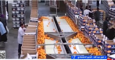 فرج عبد الله: نموذج المناطق الاقتصادية في مصر يتبنى فلسفة متطورة
