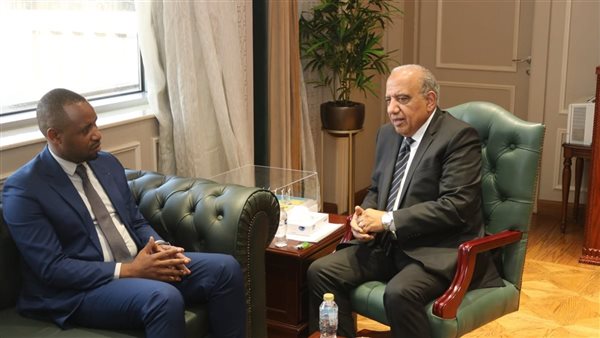 وزير الكهرباء يبحث مع نظيره الرواندي سبل تعزيز التعاون المشترك