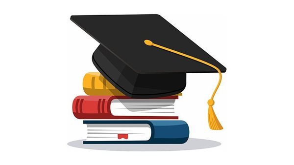 نتيجة الصف السادس الابتدائي 2026 بالجيزة، رابط الاستعلام بالرقم القومي عبر بوابة التعليم الأساسي