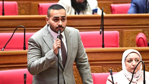 طلب إحاطة بشأن تكرار استراتيجيات تطوير الصناعة دون تقييم واضح لما تحقق