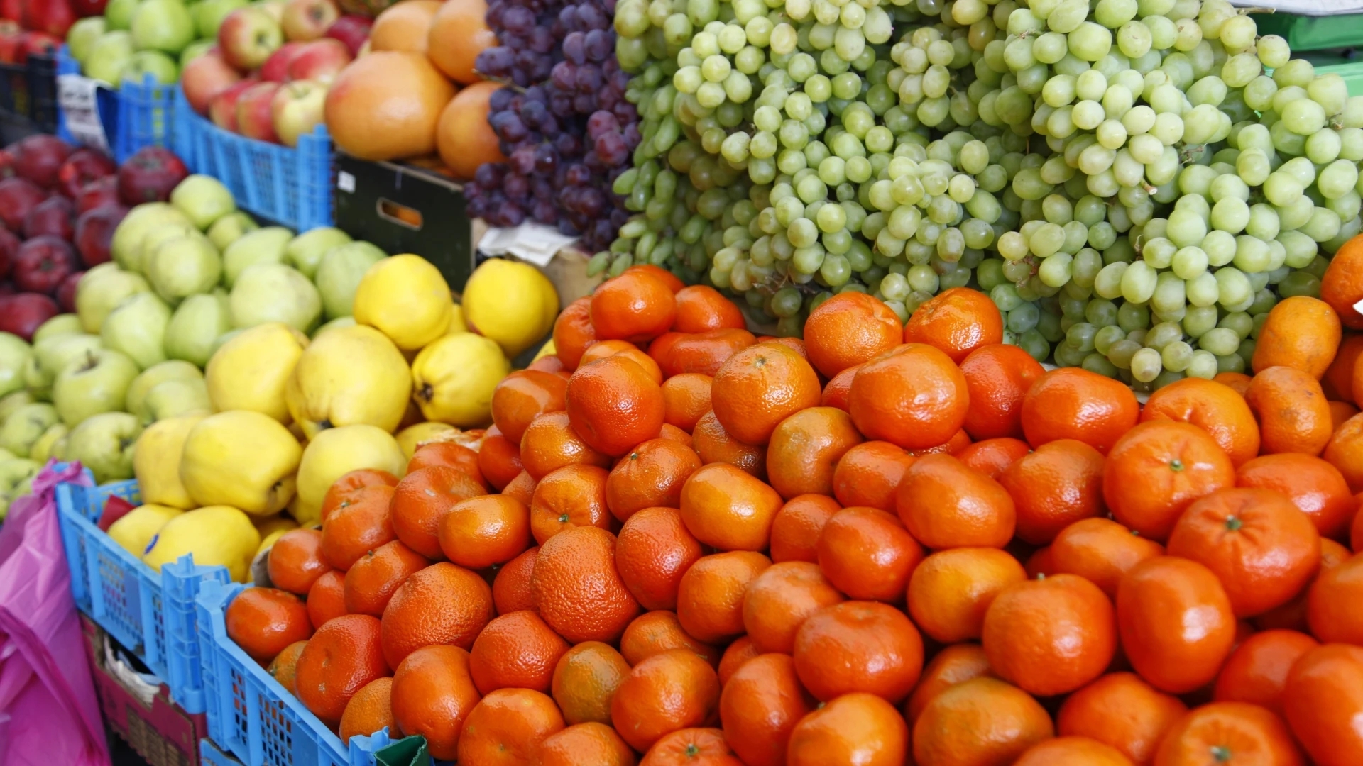 3743 طنا من الخضار ترد السوق المركزي اليوم
