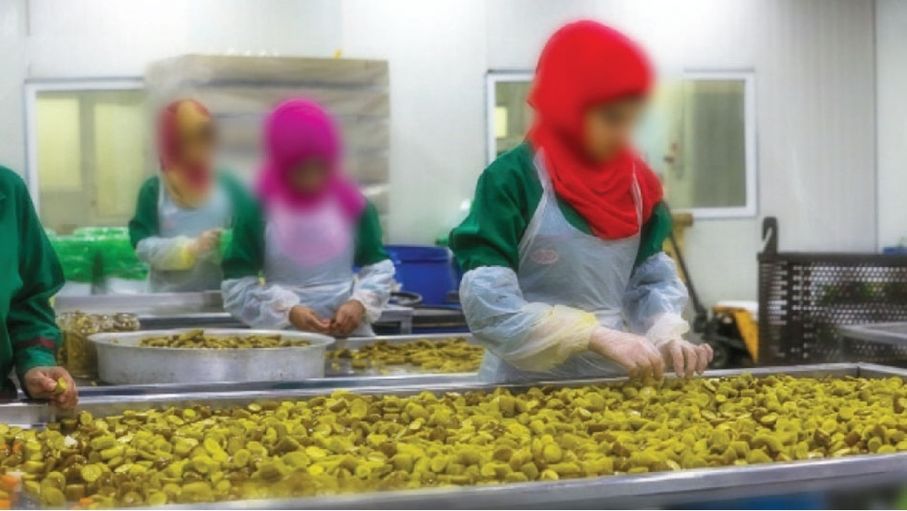 كيف يسهم دعم الصناعات الغذائية بنهوض القطاع الزراعي وحمايته؟