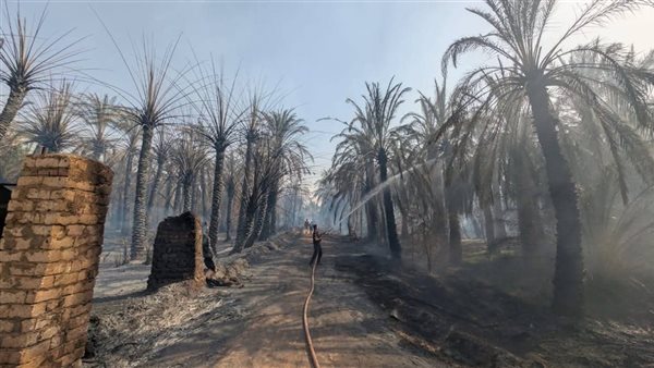 السيطرة على حريق نخيل طريق العوينة بالوادي الجديد واستمرار أعمال التبريد (صور)