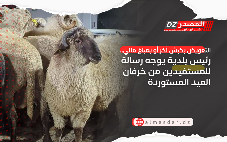 التعويض بكبش آخر أو بمبلغ مالي.. رئيس بلدية يوجه رسالة للمستفيدين من خرفان العيد المستوردة