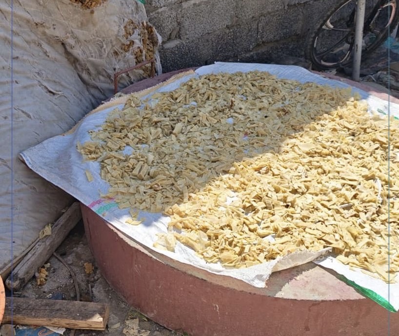 بلدية المصنعة تضبط منزلًا مخالفًا لإعداد السمبوسة وتتلف 903 كجم في ظروف غير صحية