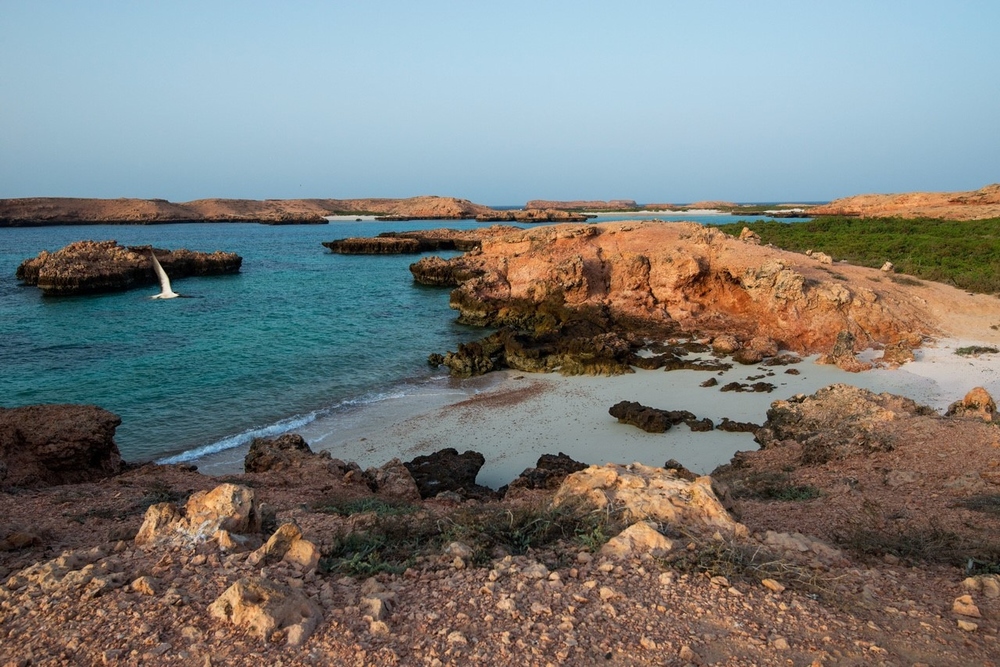 فرصة استثمارية لإدارة وتشغيل محمية جزر الديمانيات الطبيعية