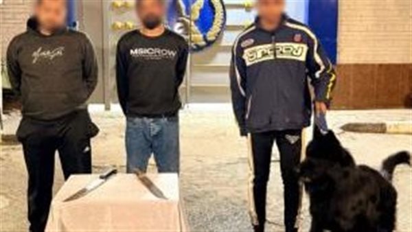 الأمن يكشف تفاصيل فيديو مشاجرة بأسلحة بيضاء والاعتداء بواسطة كلب في المنوفية