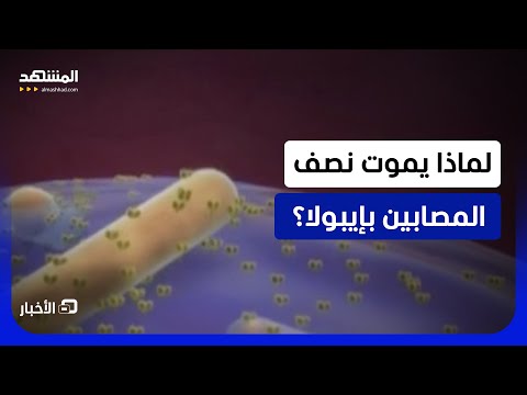 المعلومة الأخطر التي يغفل عنها كثيرون؟.. هل فعلا يموت واحد على كل مصابَيْن بفيروس إيبولا؟