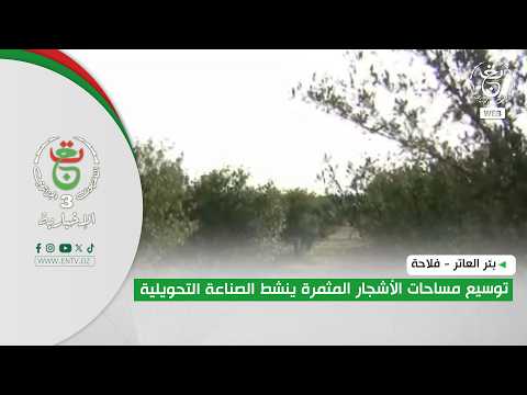 Bir el-Ater - Agriculture | Expanding Fruit Tree Orchards Boosts the Processing Industry