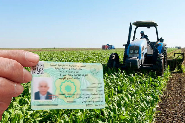 هذا جديد منح بطاقة الفلاح لمستحقيها فقط