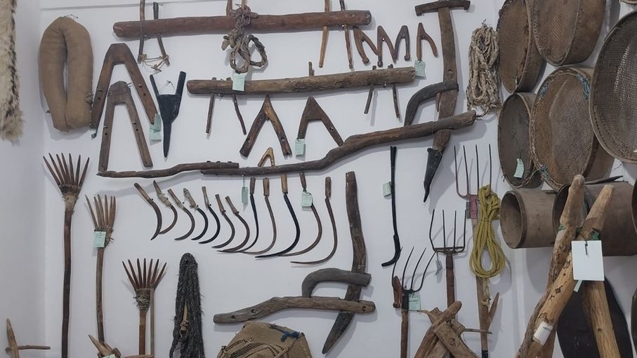 عجلون.. شغف الباحث الشريدة بالتراث يتحول إلى متحف جاذب للزوار
