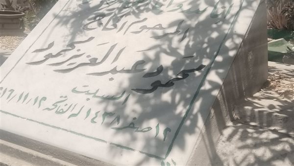 في ذكرى ميلاد "الساحر"، الإسكندرية تحيي ذكرى ابنها الفنان محمود عبد العزيز