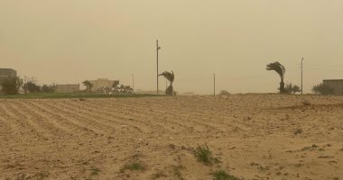 تحذيرات مهمة من وزارة الزراعة للمزارعين لتجنب الآثار السلبية للتقلبات الجوية