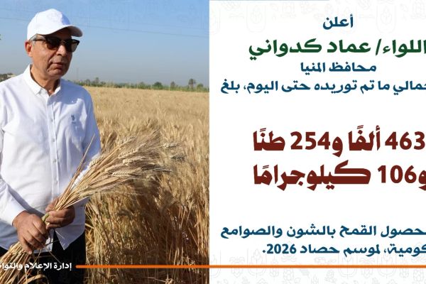 توريد أكثر من 463 ألف طن قمح بمراكز محافظة المنيا منذ انطلاق موسم الحصاد 2026