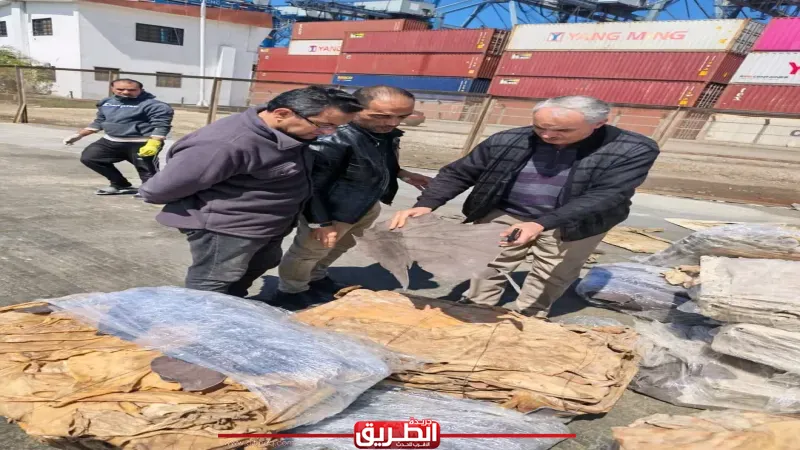 12 مليون جنيه غرامات لمحاولة تهريب جلود رطبة من دمياط