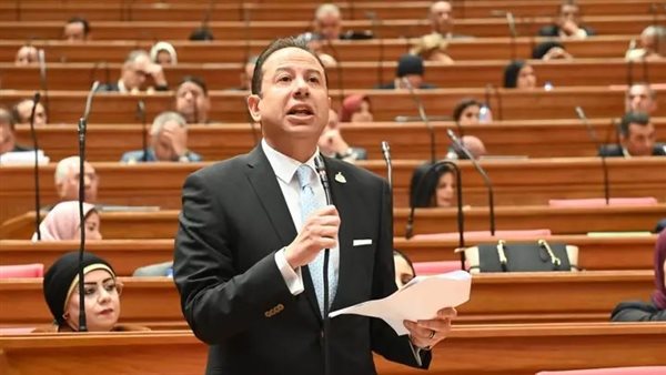 النائب حسن عمار يطالب بخطة دعم وإنقاذ لأصحاب الورش والصناعات الصغيرة ببورسعيد