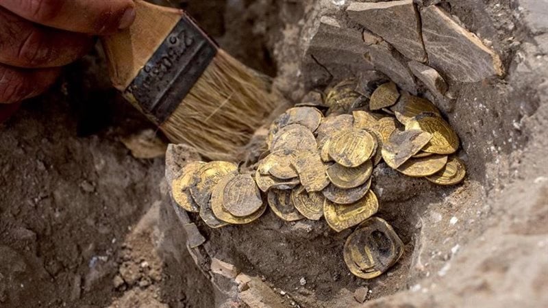 طريقة جديدة لاكتشاف أماكن الذهب القديمة باستخدام الأسماك