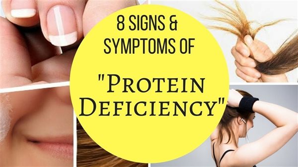 أعراض نقص البروتين لدى النساء النباتيات، وطرق اكتشافها مبكرًا