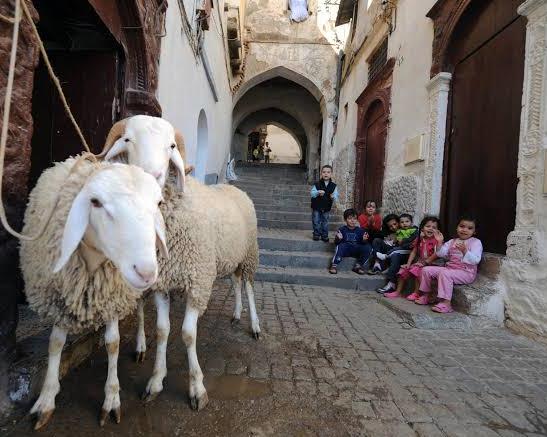 هذا موعد وقفة عرفة وعيد الأضحى بالجزائر فلكيا