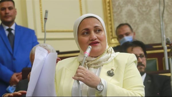 إنتوا بتعملوا إيه في الشعب؟ برلمانية تهاجم الحكومة بسبب أزمة قراءة العدادات الكودية