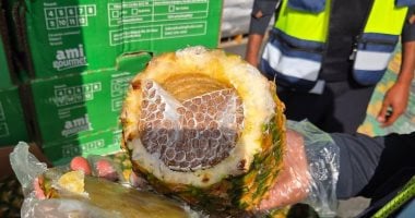 إسرائيل تعلن إحباط تهريب كميات كبيرة من السجائر مخبأة داخل أناناس