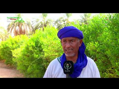تيميمون - اليوم الوطني للسياحة | المرشد السياحي نبراس للترويج للثقافة الأصيلة