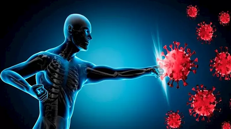 ما علاقة الأطعمة الغنية بالألياف بتقوية المناعة؟