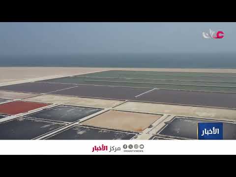 ▶️ Report | The salt sector enters a new phase based on specialized industrial projects.